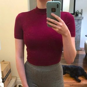 Babaton Aritzia Gonzalo Mockneck Crop Top